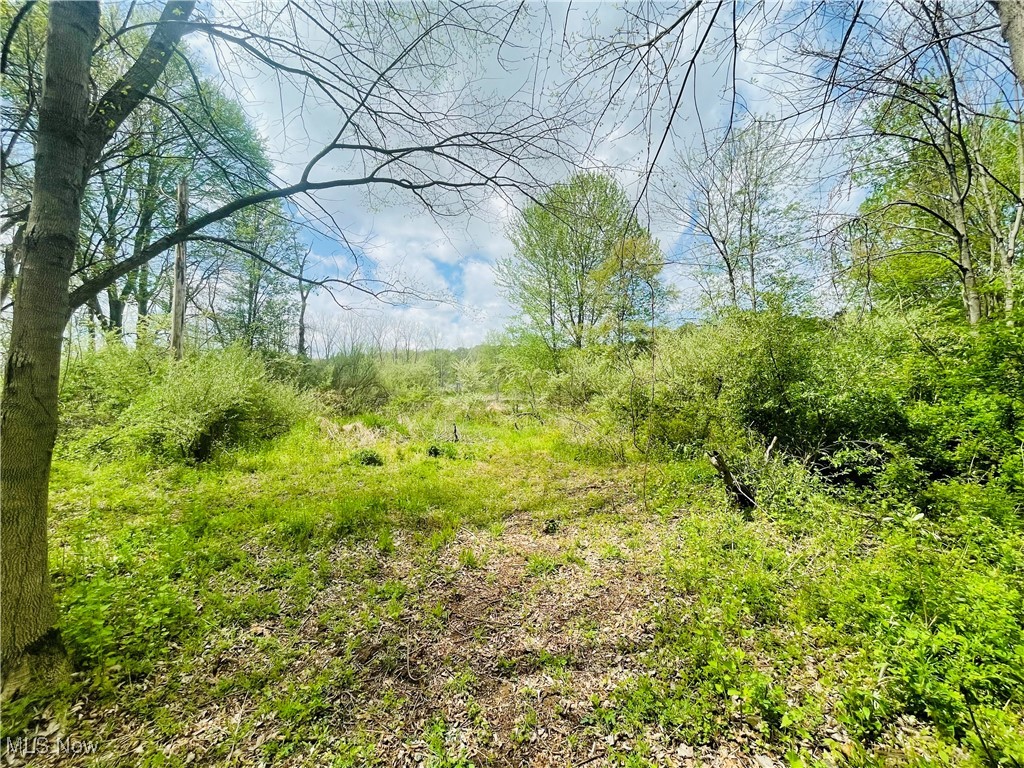 7395 S Cleveland Massillon Road, Clinton, Ohio image 11