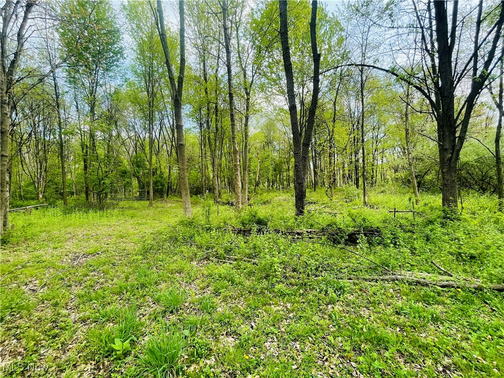 7395 S Cleveland Massillon Road, Clinton, Ohio image 14