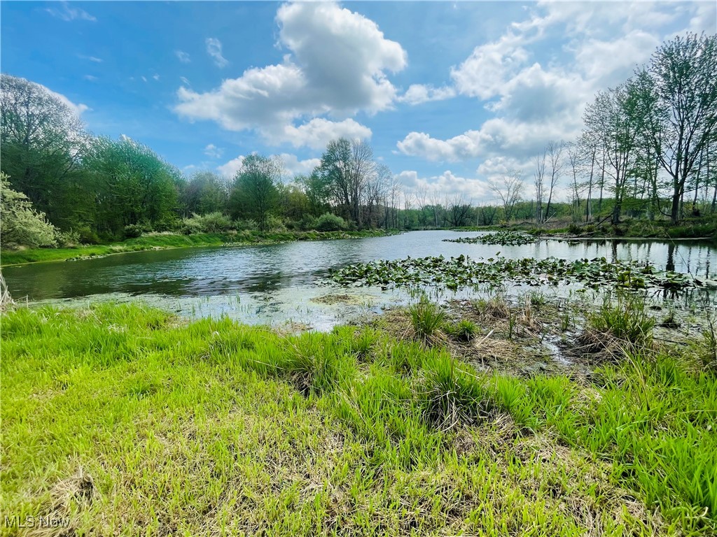 7395 S Cleveland Massillon Road, Clinton, Ohio image 18