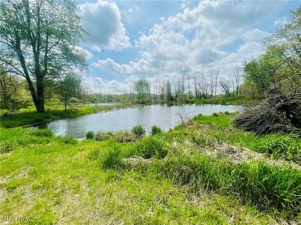 7395 S Cleveland Massillon Road, Clinton, Ohio image 17