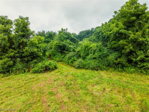 Tiny photo for 19072 Harl Weiller Rd RD, Caldwell, OH 43724 (MLS # 5237380)