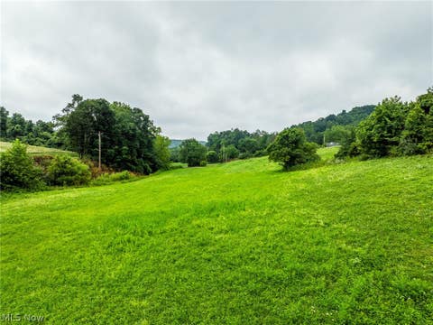 Tiny photo for 19072 Harl Weiller Rd RD, Caldwell, OH 43724 (MLS # 5237380)