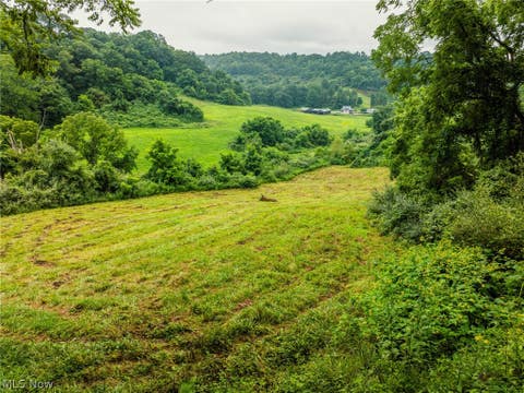 Tiny photo for 19072 Harl Weiller Rd RD, Caldwell, OH 43724 (MLS # 5237380)