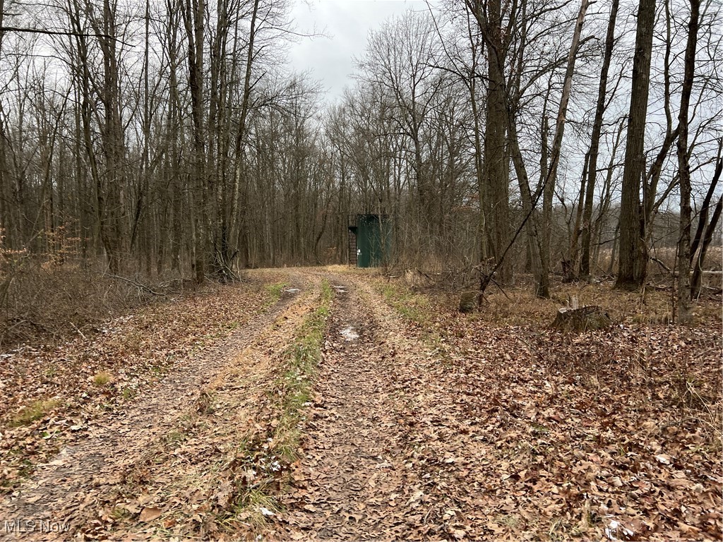 State Route 14, Deerfield, Ohio image 16