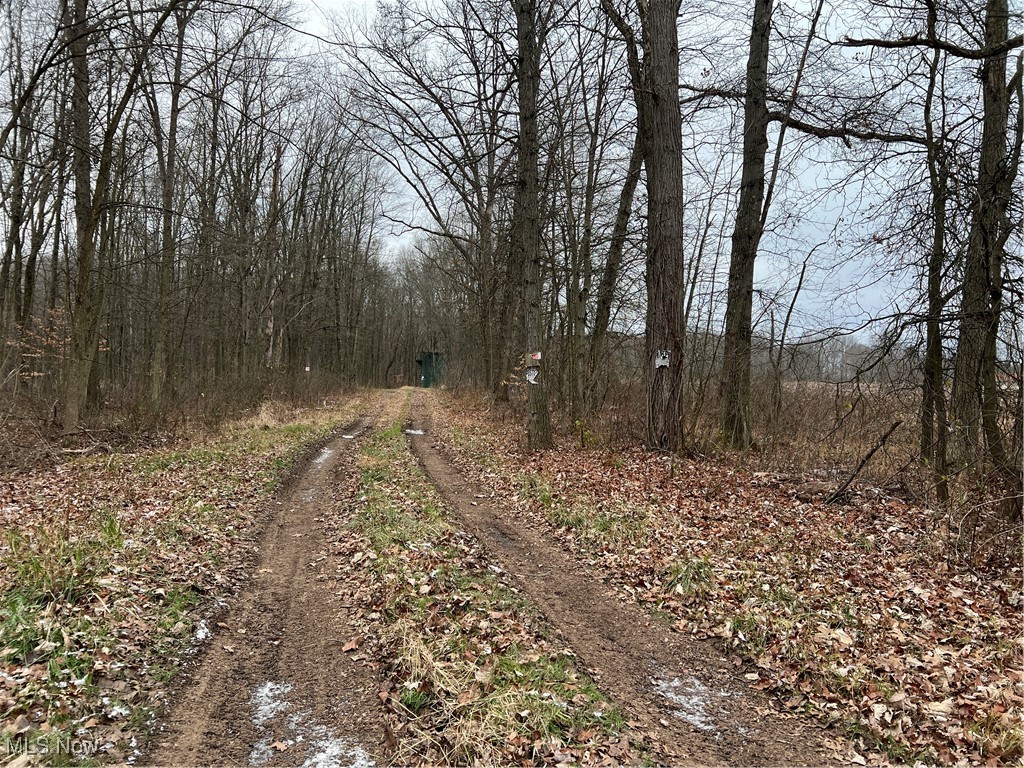 State Route 14, Deerfield, Ohio image 10