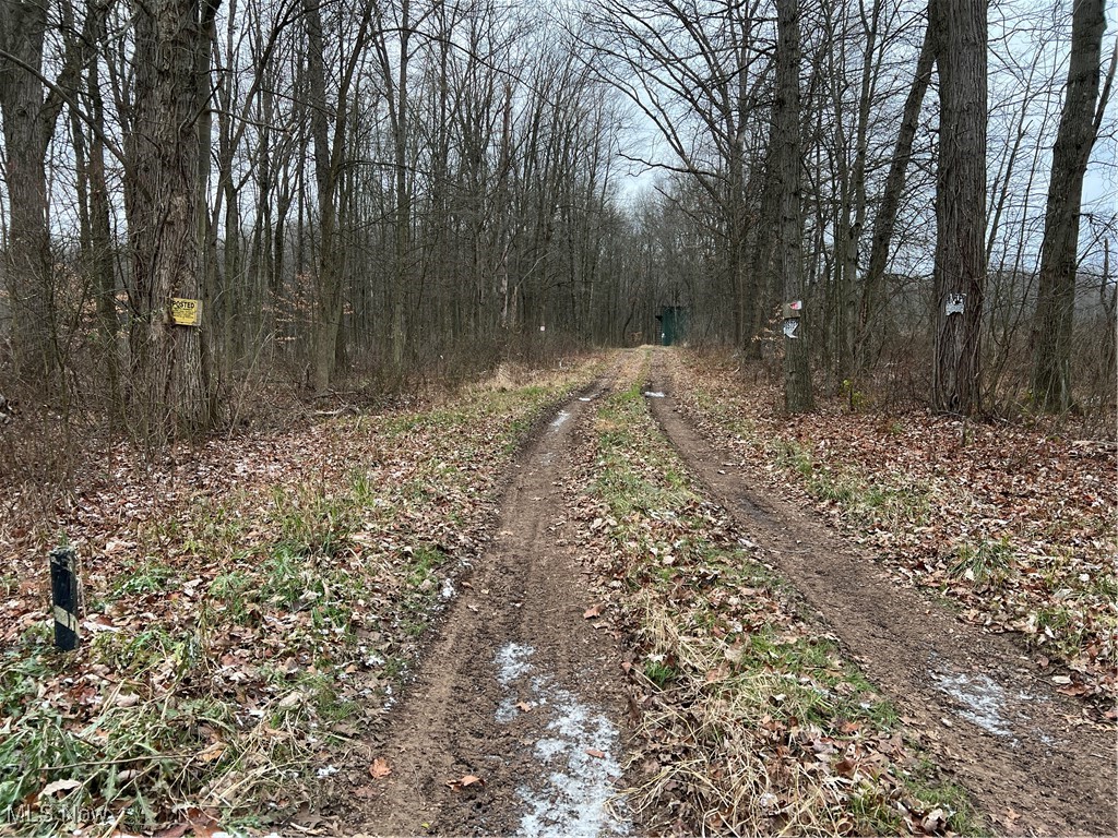 State Route 14, Deerfield, Ohio image 8