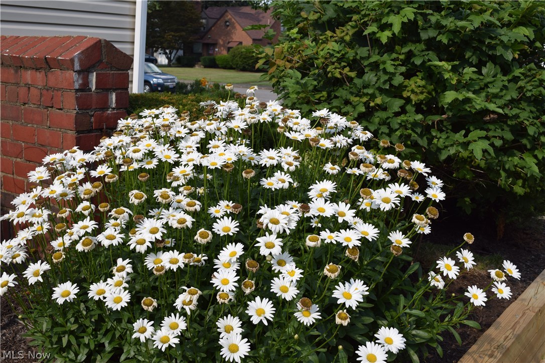 West Manor - Residential