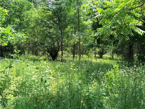 Vacant Land For Sale - Amoy West Road<br/> Richland County, Shelby, OH 44875