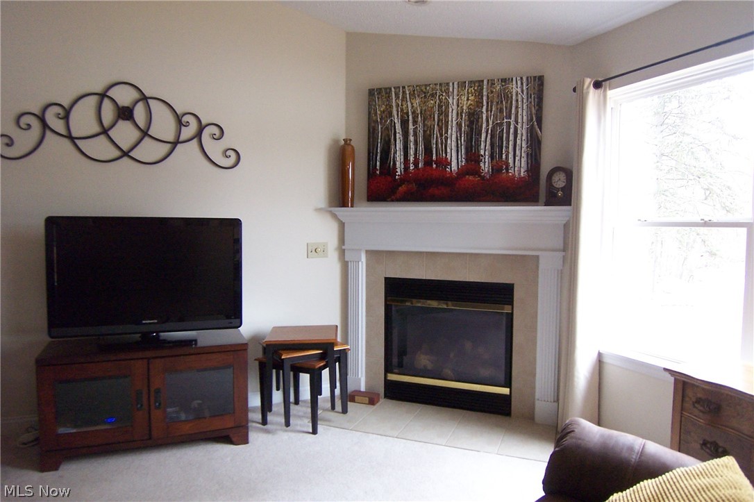 Brittany Commons Condo - Residential