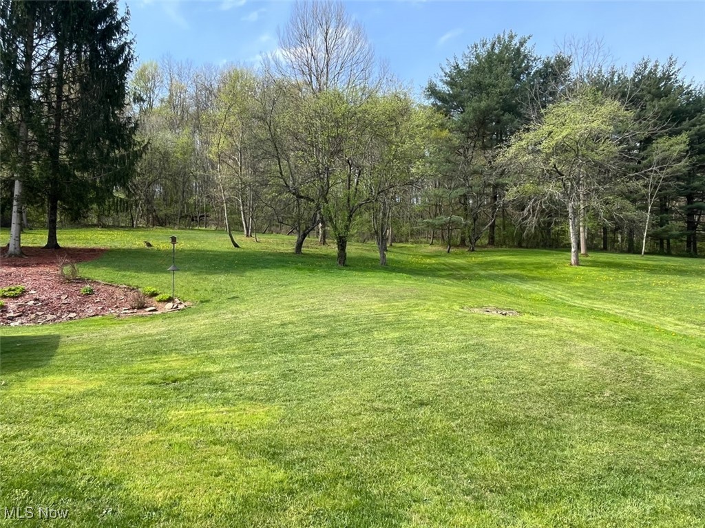 3737 Robertsville Avenue, Minerva, Ohio image 9