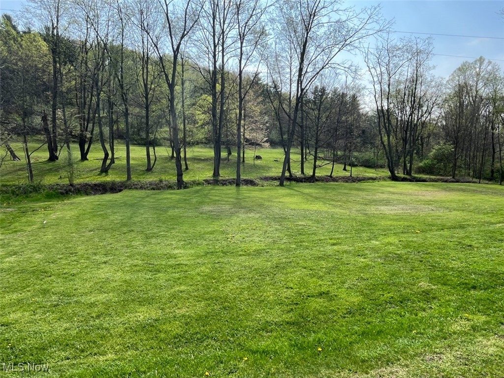 3737 Robertsville Avenue, Minerva, Ohio image 10