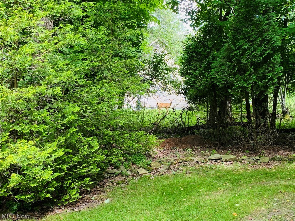 North Heights Estates - Residential