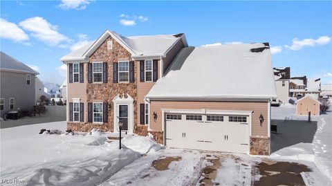 3113 Briarcliff Road Brunswick OH 44212