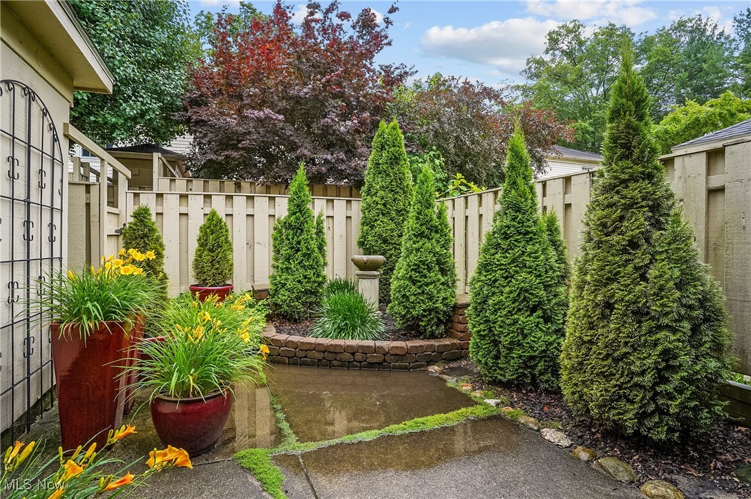 Georgetown Condo - Residential
