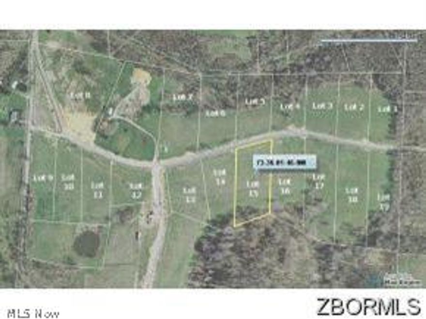 Taxes based on vacant land.  See attachment for restrictions/plat of Millstone Meadows. Purchaser shall reimburse seller $1250 for the tap fee at closing.  Meter is the responsibility of the buyer.  Owner is retaining all mineral rights. Lots approved under previous septic regulations by the County.  $1000 Earnest D