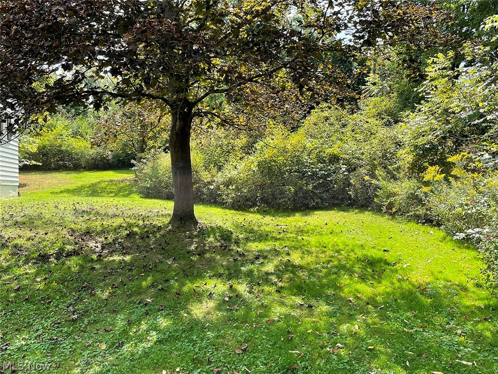 Chittenden Acres - Commercial Sale