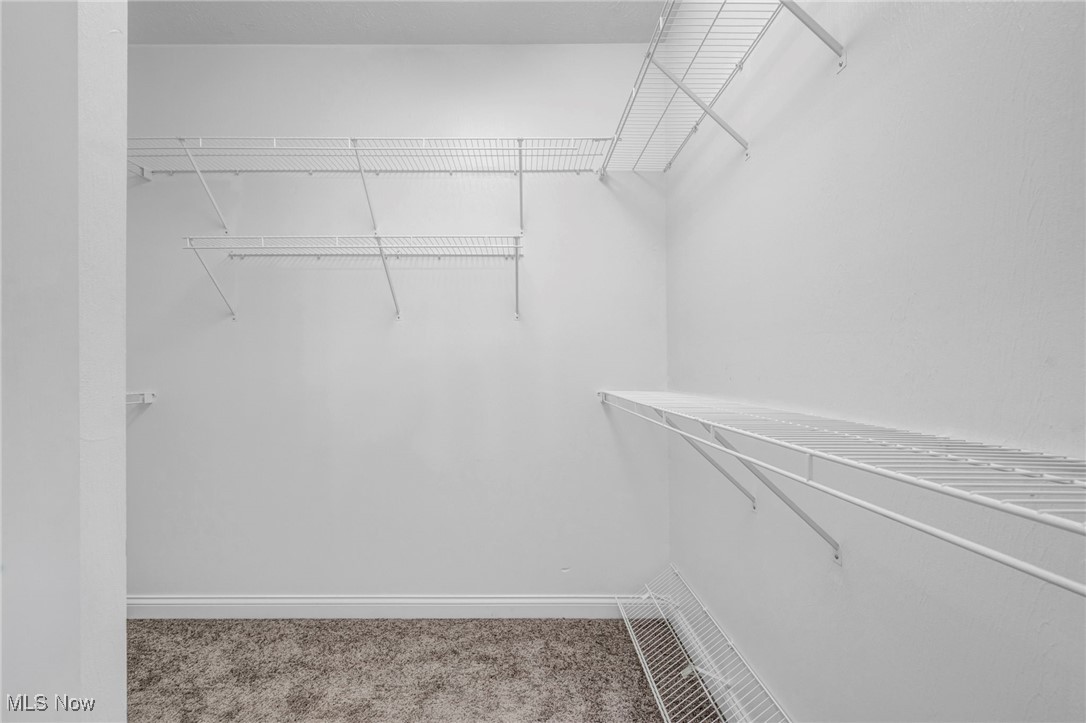 Red Tail - Residential