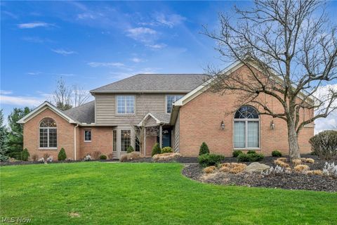 Photo of 1166 Brandywine Drive, Medina, OH 44256 (MLS # 5192954)