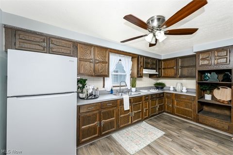 Tiny photo for 2221 9th Street SW, Akron, OH 44314 (MLS # 5211881)