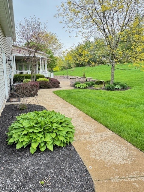 4134 Forest Ridge Drive, Richfield, Ohio image 47