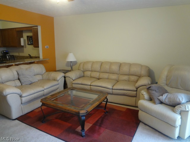 Amherst Commons - Residential