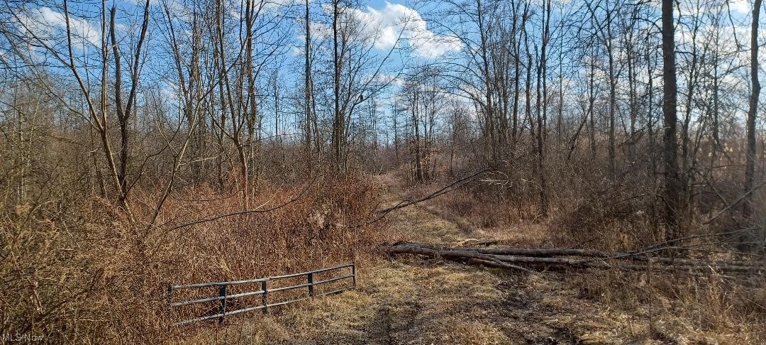 VL Risher Road, Warren, Ohio image 1