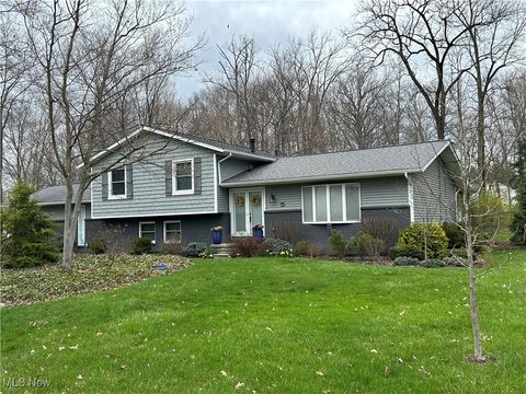 1785 Ashley Drive, Hudson, OH 44236 - MLS#: 5100997