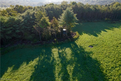 Vacant Land For Sale - Perl Road<br/> Chandlersville, OH 43727