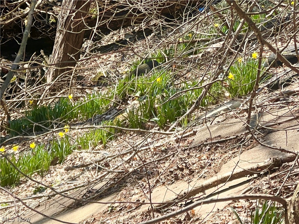 Mccoy #1 - Residential