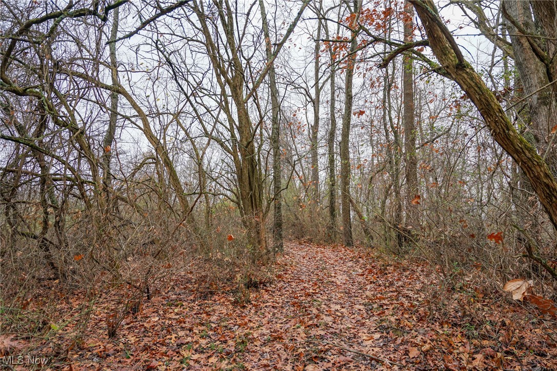 E Hoop Pole Ridge Rd Ne, Mcconnelsville, Ohio image 8