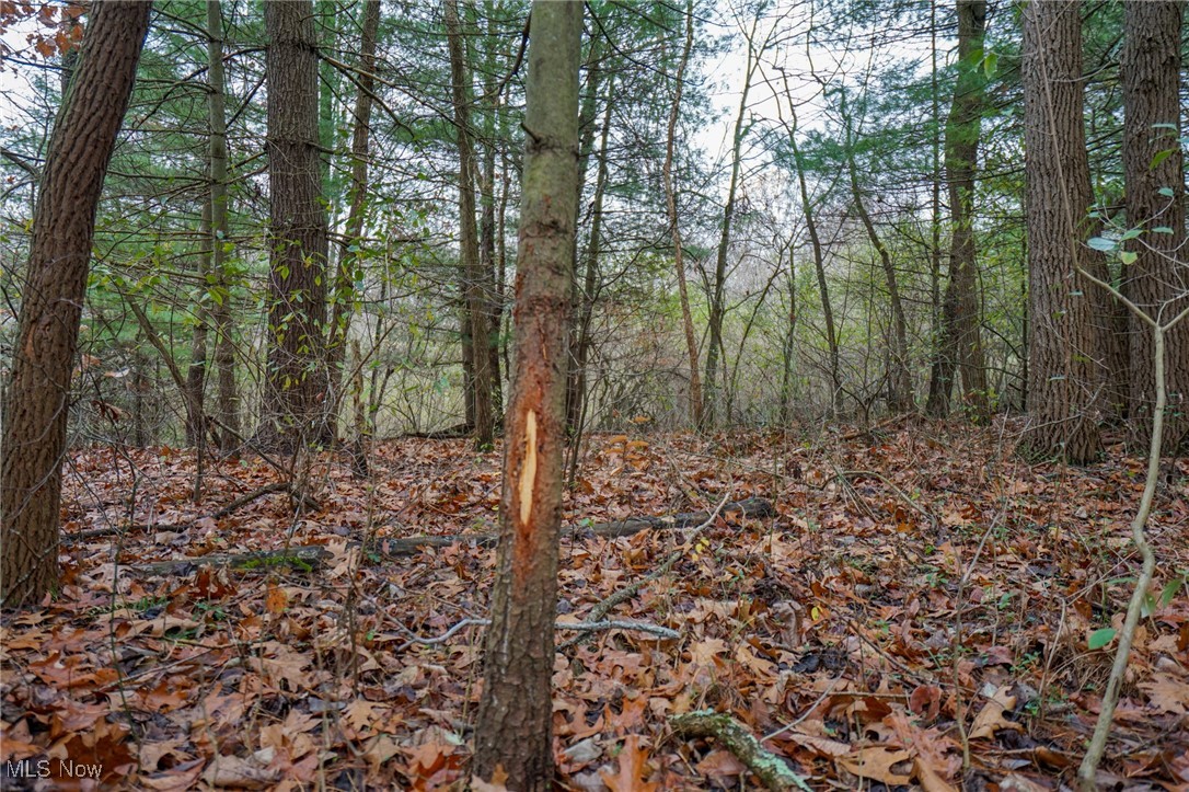 E Hoop Pole Ridge Rd Ne, Mcconnelsville, Ohio image 38