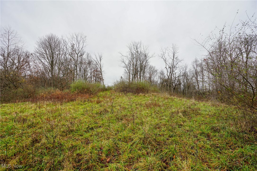 E Hoop Pole Ridge Rd Ne, Mcconnelsville, Ohio image 1