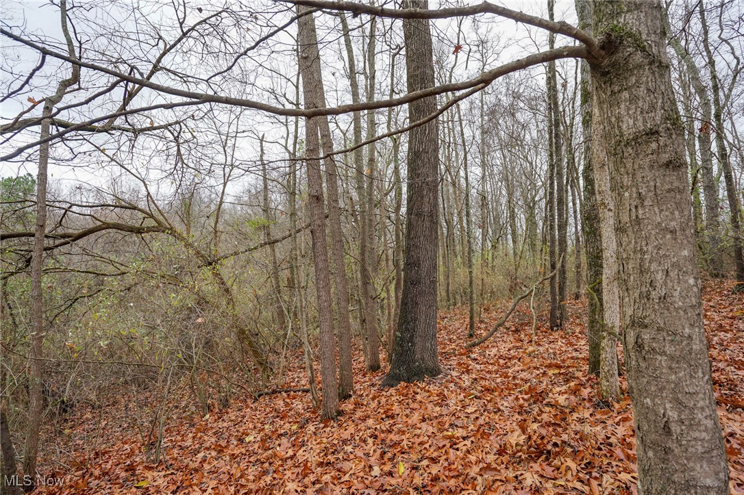 E Hoop Pole Ridge Rd Ne, Mcconnelsville, Ohio image 20