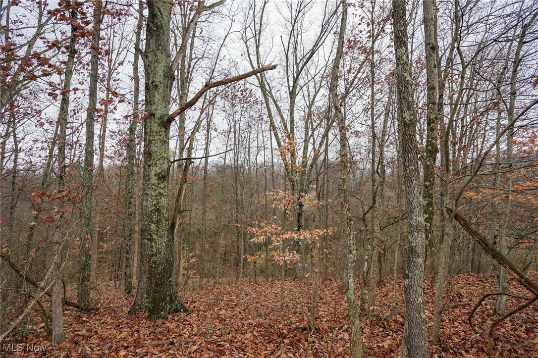 E Hoop Pole Ridge Rd Ne, Mcconnelsville, Ohio image 6