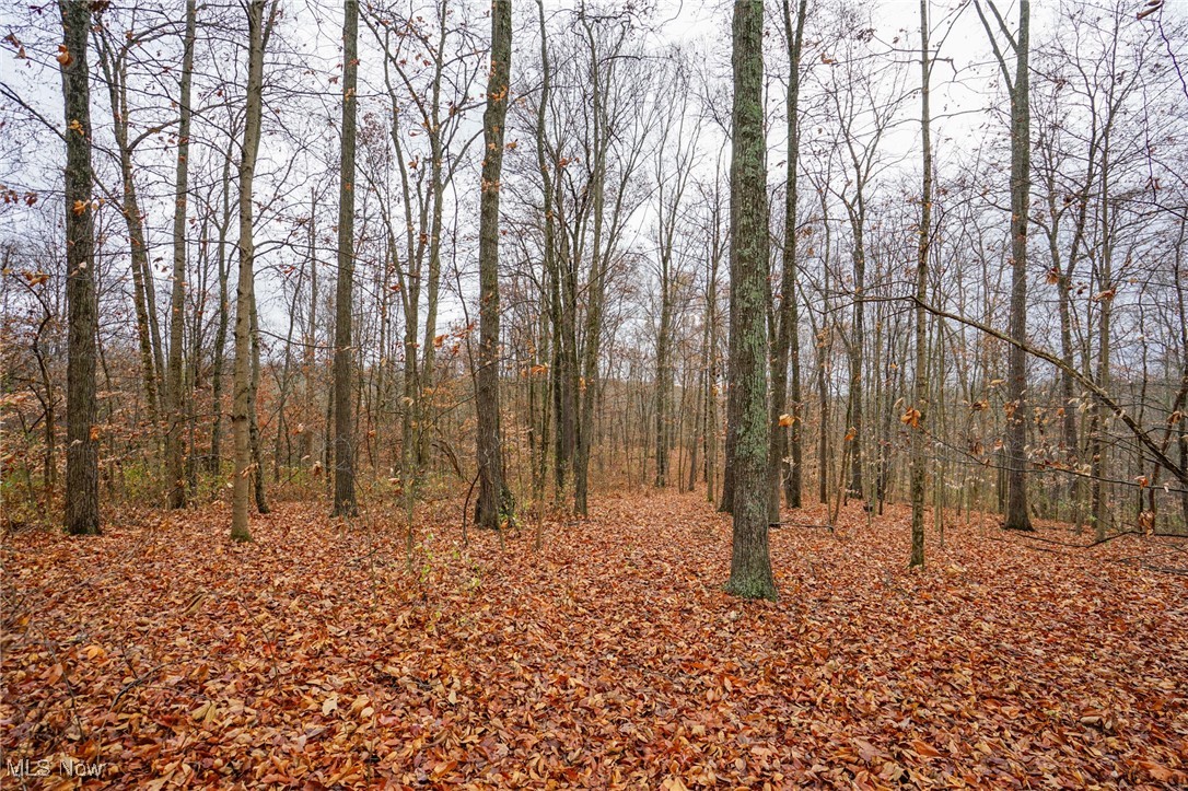 E Hoop Pole Ridge Rd Ne, Mcconnelsville, Ohio image 34