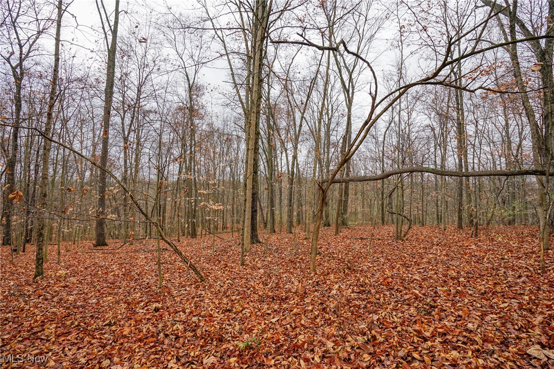 E Hoop Pole Ridge Rd Ne, Mcconnelsville, Ohio image 33