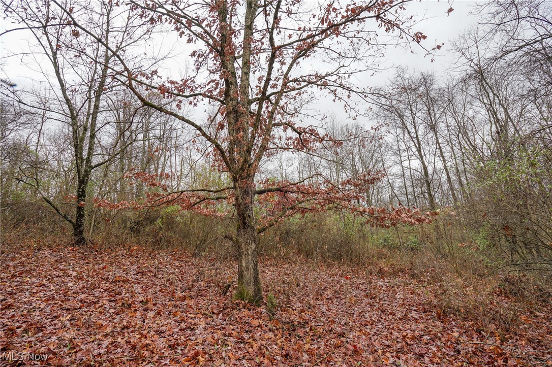 E Hoop Pole Ridge Rd Ne, Mcconnelsville, Ohio image 17