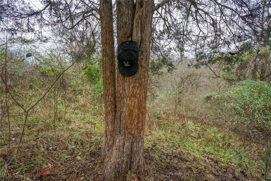 E Hoop Pole Ridge Rd Ne, Mcconnelsville, Ohio image 40