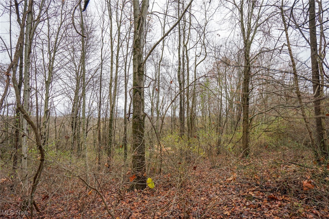 E Hoop Pole Ridge Rd Ne, Mcconnelsville, Ohio image 10