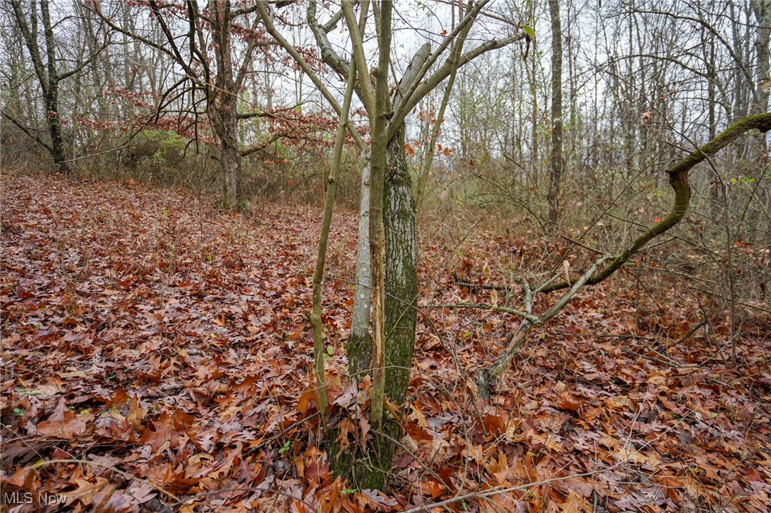 E Hoop Pole Ridge Rd Ne, Mcconnelsville, Ohio image 16