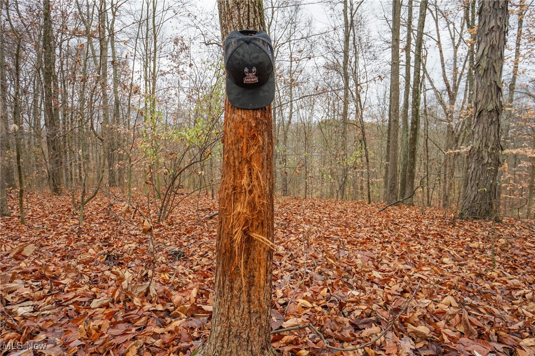 E Hoop Pole Ridge Rd Ne, Mcconnelsville, Ohio image 37