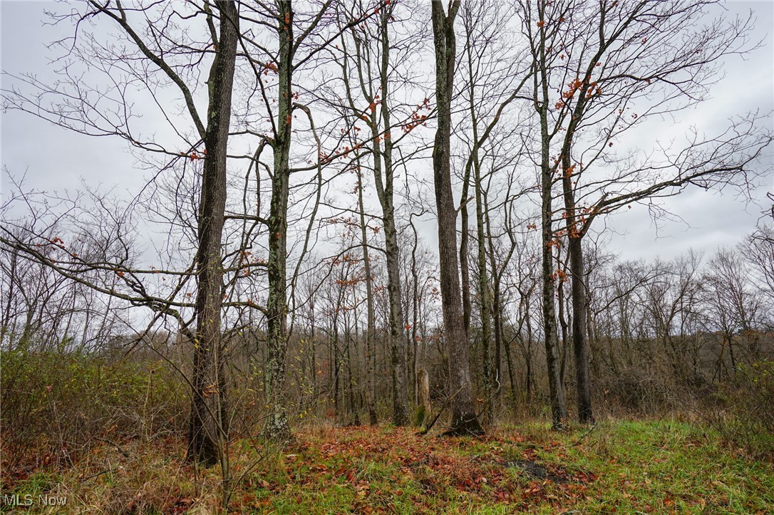 E Hoop Pole Ridge Rd Ne, Mcconnelsville, Ohio image 3