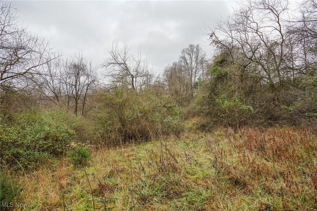 E Hoop Pole Ridge Rd Ne, Mcconnelsville, Ohio image 41