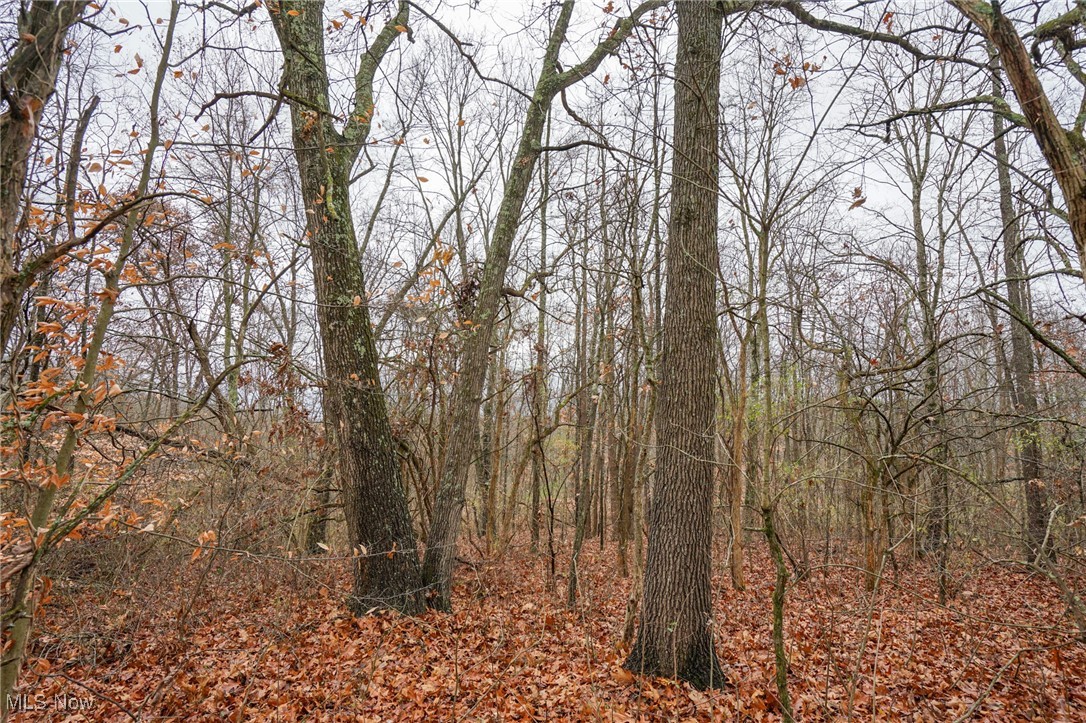 E Hoop Pole Ridge Rd Ne, Mcconnelsville, Ohio image 27