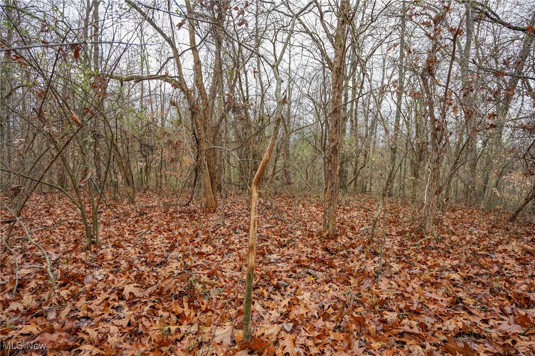 E Hoop Pole Ridge Rd Ne, Mcconnelsville, Ohio image 26