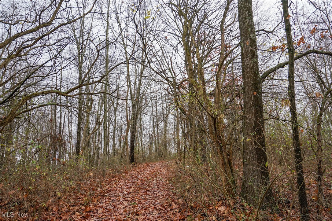 E Hoop Pole Ridge Rd Ne, Mcconnelsville, Ohio image 14