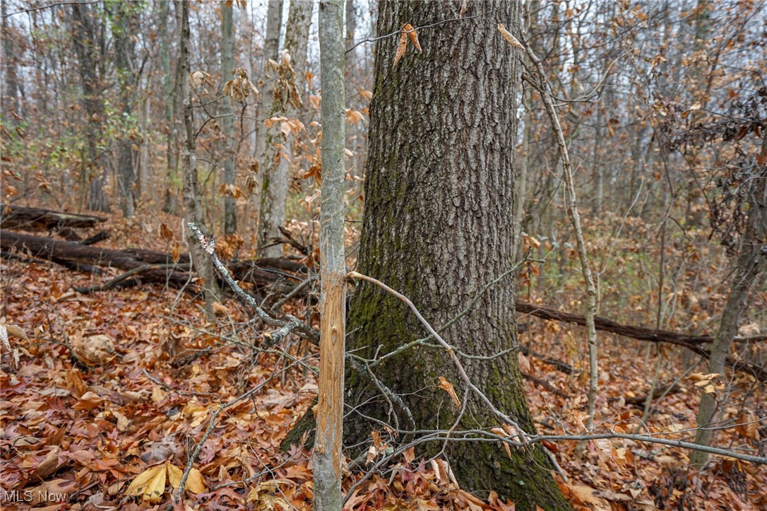 E Hoop Pole Ridge Rd Ne, Mcconnelsville, Ohio image 36