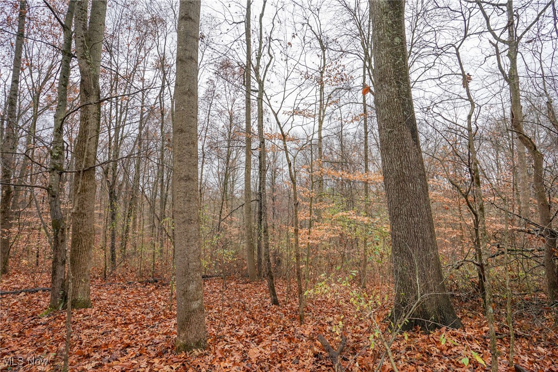 E Hoop Pole Ridge Rd Ne, Mcconnelsville, Ohio image 31