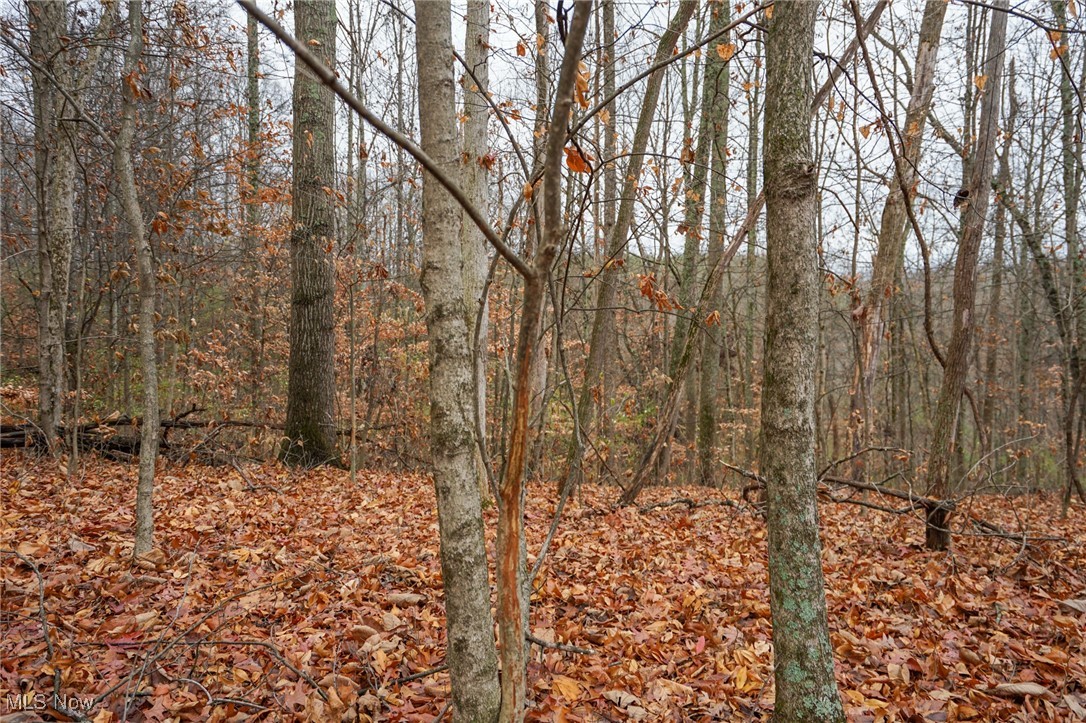 E Hoop Pole Ridge Rd Ne, Mcconnelsville, Ohio image 35