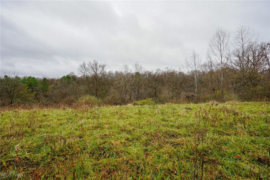 E Hoop Pole Ridge Rd Ne, Mcconnelsville, Ohio image 2